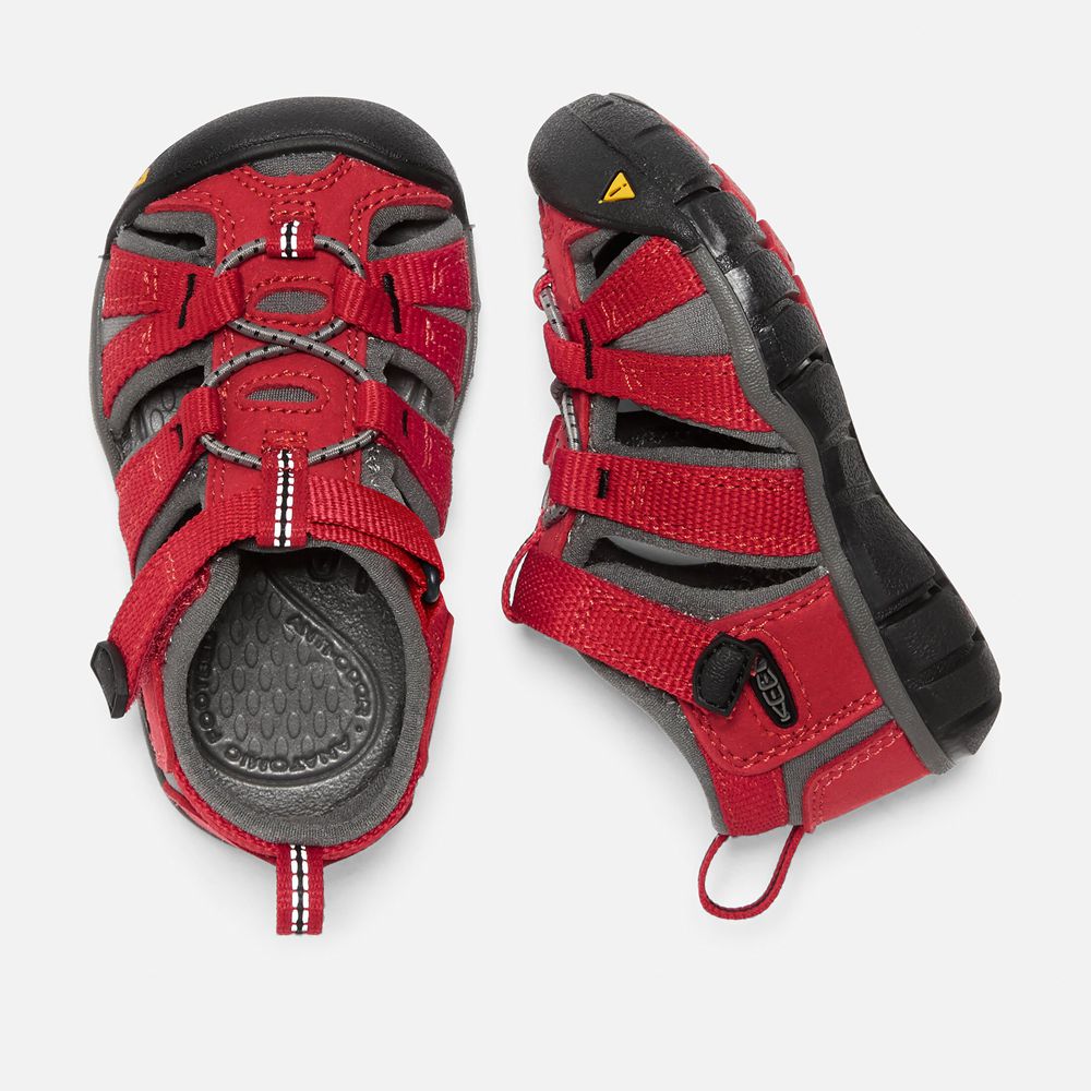 Keen Sandaal Kinderen Rood - Seacamp Ii Cnx - 85963-ZYDC